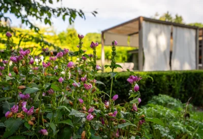 Fons Linders - 050925-135